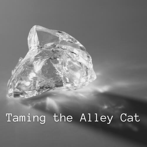 Taming the Alley Cat