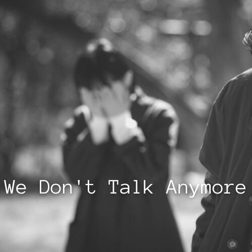 We Don&#39;t Talk Anymore