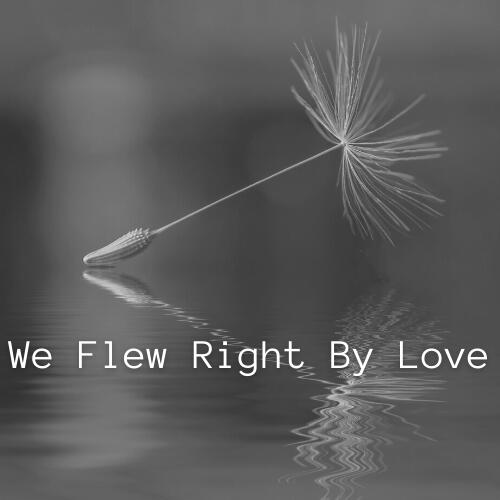 We Flew Right By Love