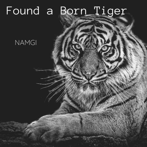 Found a Born Tiger